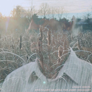 Lingua Ignota - EPISTOLARY GRIEVING FOR JIMMY SWAGGART EP cover