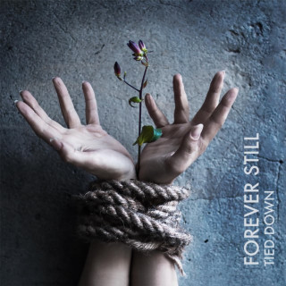 Forever Still - Tied Down album cover