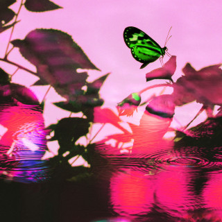 Moon Sujin - Better EP cover