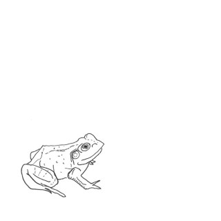 Aoife O'Donovan - Bull Frogs Croon (And Other Songs) EP cover