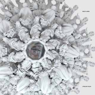 Boldy James & Sterling Toles - Manger On Mcnichols album cover
