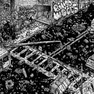 billy woods - Known Unknowns album cover