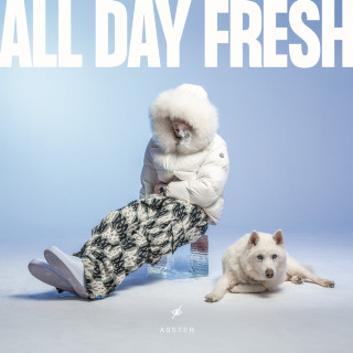 Asster - ALL DAY FRESH album cover