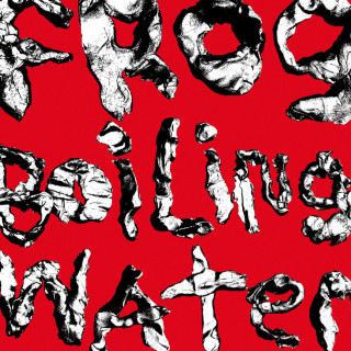 DIIV - Frog In Boiling Water album cover