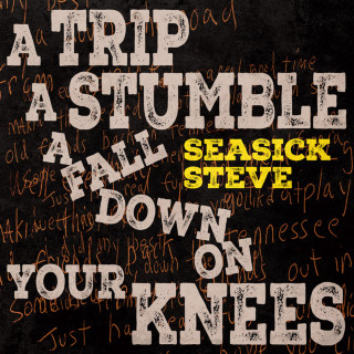 Seasick Steve - A Trip A Stumble A Fall Down On Your Knees album cover