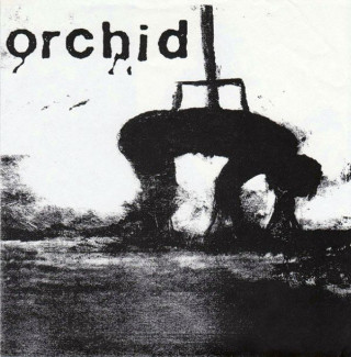 Pig Destroyer - Pig Destroyer / Orchid split cover