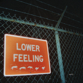 Rarity - Lower Feeling album cover