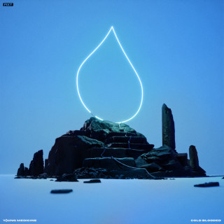Young Medicine - Cold Blooded album cover