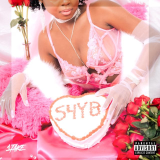 1TakeJay - Songs 4 Your Bitch album cover