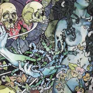 Pig Destroyer - Phantom Limb album cover