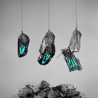 Lightworker - How The Beautiful Decay album cover