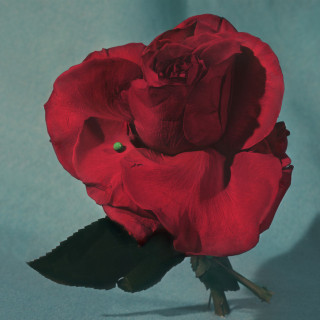 METZ - Up On Gravity Hill album cover