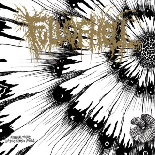 Full Of Hell - Amber Mote In The Black Vault EP cover