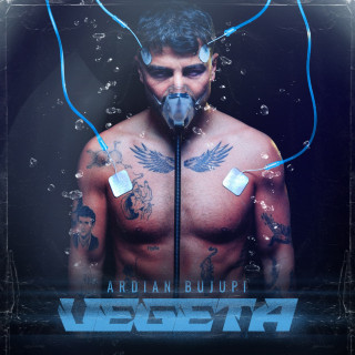 Ardian Bujupi - VEGETA album cover