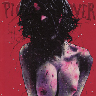 Pig Destroyer - Terrifyer album cover