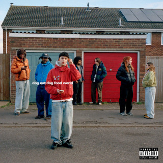 Niko B - dog eat dog food world album cover