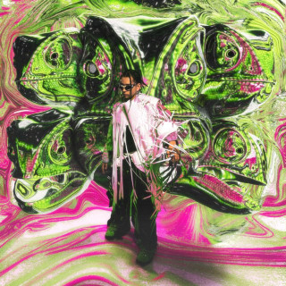 Waima & Mjonszu - Cameleo album cover