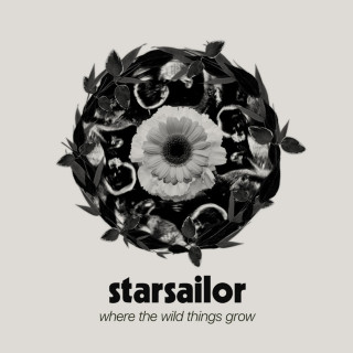 Starsailor - Where The Wild Things Grow album cover