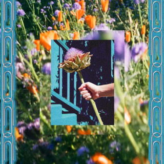 Rosie Tucker - UTOPIA NOW! album cover