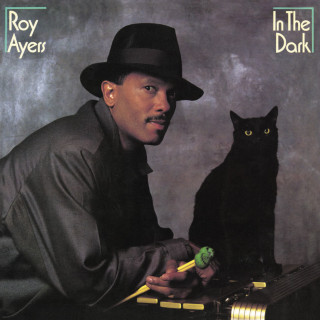 Roy Ayers - In The Dark album cover
