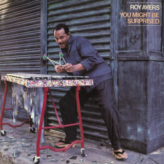 Roy Ayers - You Might Be Surprised album cover