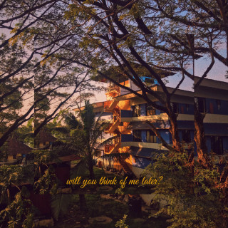 Edwin Raphael - Will You Think Of Me Later? album cover