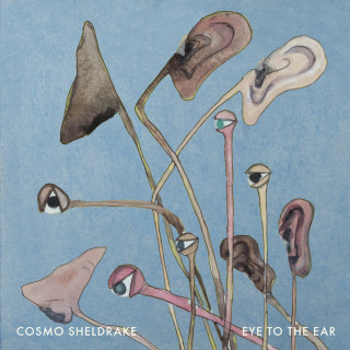 Cosmo Sheldrake - Eye To The Ear album cover