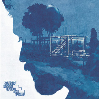 ZAYN - ROOM UNDER THE STAIRS album cover