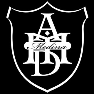 Medina - Låtar album cover
