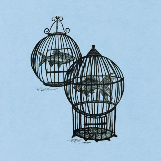 Fish In A Birdcage - Through The Tides album cover
