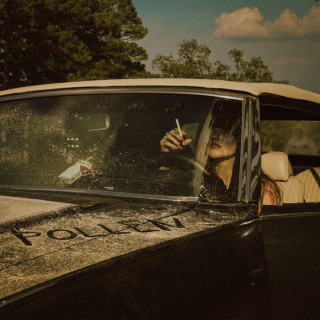 Blacktop Mojo - Pollen album cover