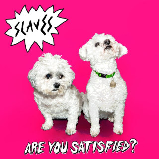 SOFT PLAY - Are You Satisfied? album cover