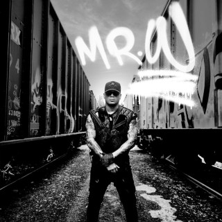 Wisin - Mr. W album cover