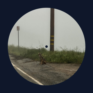 Dominic Fike - 14 minutes EP cover