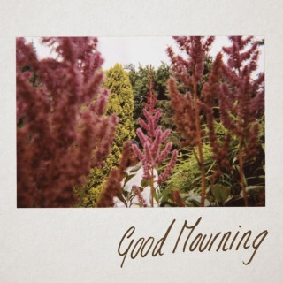 Clara La San - Good Mourning mixtape cover