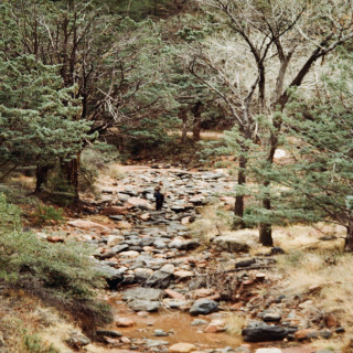 Gavin Haley - Tepoztlán single cover