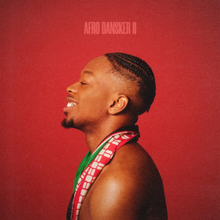 ICEKIID - AFRO DANSKER II EP cover