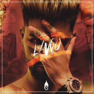 FY - Lingo 2 album cover