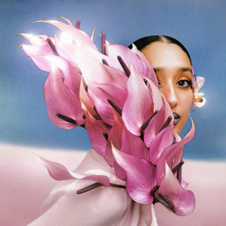 Raveena - Where The Butterflies Go In The Rain album cover