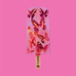 James - Pudding album cover