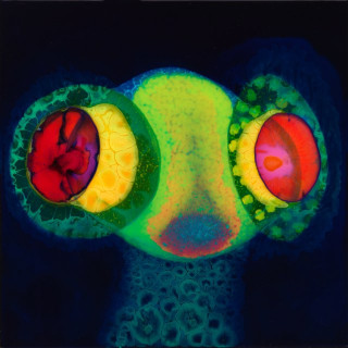Osees - SORCS 80 album cover