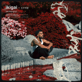 Futuristic & Prof - ikigai album cover