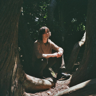 Kane Strang - Happy To Perform album cover