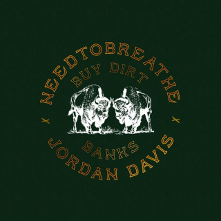 NEEDTOBREATHE - Among Friends single cover