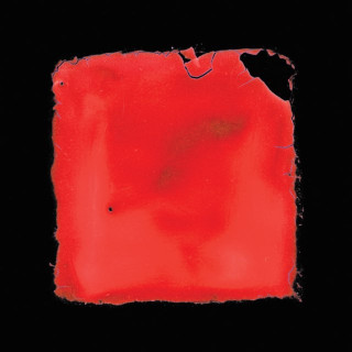 salvia palth - last chance to see album cover