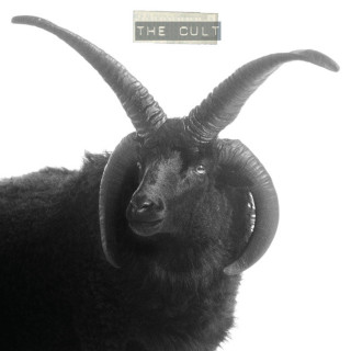 The Cult - The Cult album cover