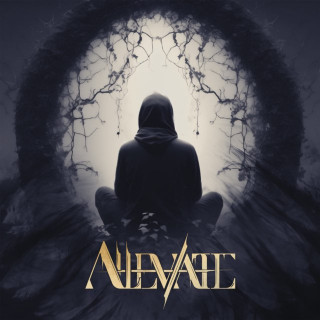 Alleviate - DMNS album cover