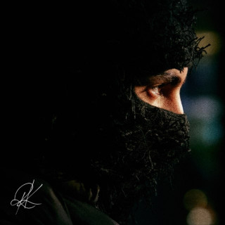 RK - DLPDA album cover