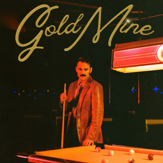 Stephen Day - Gold Mine album cover