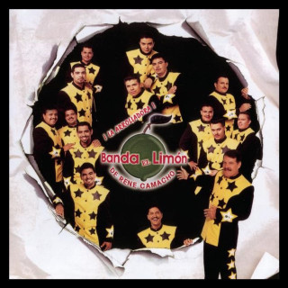 La Arrolladora Banda El Limón De Rene Camacho - Secretos De Mi Memoria album cover